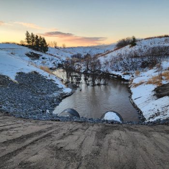 334939155_763289378442083_4833266487387721143_n